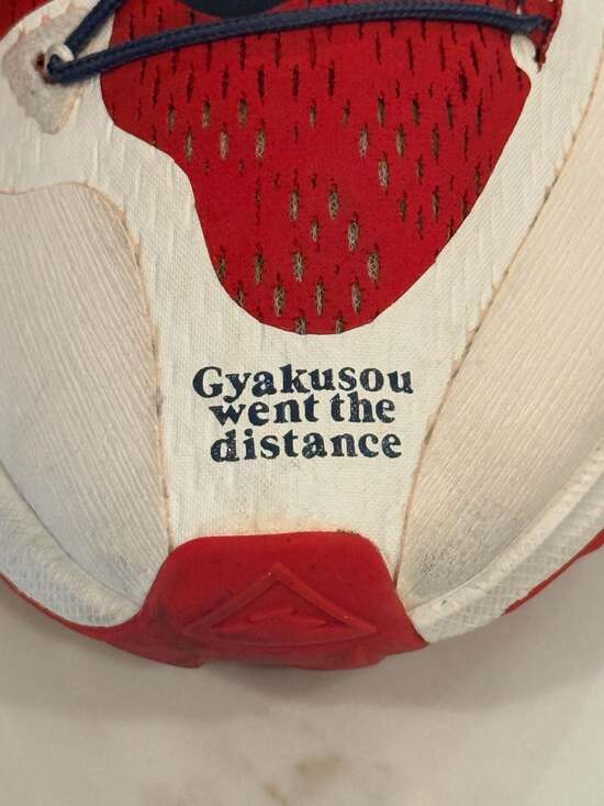 Nike Air Zoom Pegasus 36 Trail Gyakusou Sport Red Size 10.5